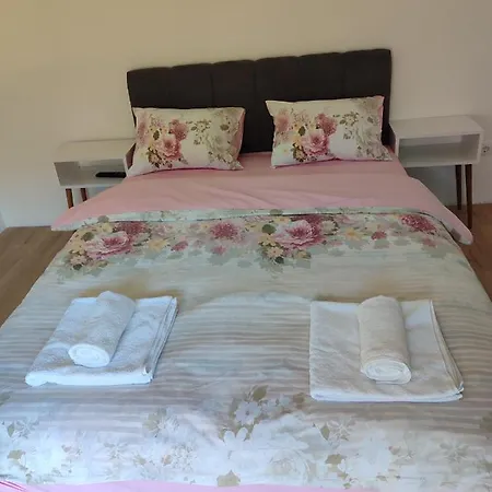 Anthelija Zaovine Ferienhaus Lazici