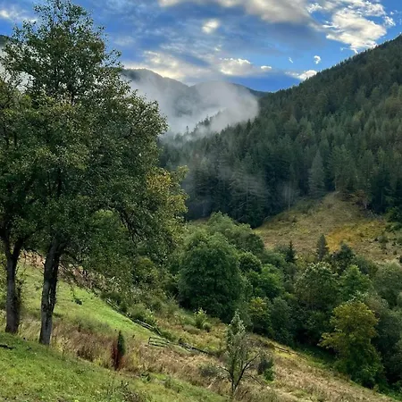 Anthelija Zaovine Ferienhaus *