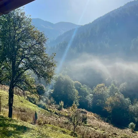 Ferienhaus Anthelija Zaovine *